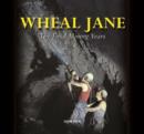 Image for Wheal Jane  : the final mining years