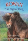 Image for Rowan The Exmoor Pony