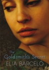 Image for The goldsmith&#39;s secret