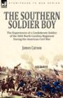 Image for The Southern Soldier Boy : the Experiences of a Confederate Soldier of the 56th North Carolina Regiment During the American Civil War