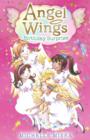 Image for Angel Wings: Birthday Surprise