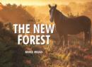 Image for Spirit of the New Forest