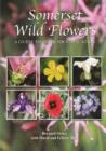 Image for Somerset Wild Flowers