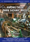 Image for Among these dark satanic mills  : Britain&#39;s industrial heritage