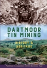 Image for Dartmoor tin mining  : history and heritage