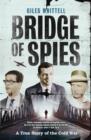 Image for Bridge of spies  : a true story of the Cold War