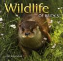 Image for Wildlife of Britain 2012