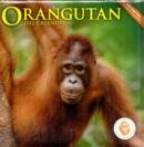 Image for Orangutan 2012
