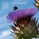 Image for Kew Gardens 2012