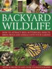 Image for Backyard Wildlife