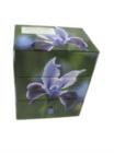 Image for Simply Flowers : A Keepsake Box of 60 Beautiful Gift Cards and Envelopes