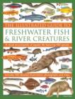 Image for The illustrated guide to freshwater fish &amp; river creatures  : a visual encyclopedia of aquatic life featuring 450 species