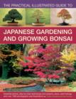 Image for The practical illustrated guide to Japanese gardening and growing bonsai  : essential advice, step-by-step techniques and projects, plant listings and over 1500 photographs and illustrations