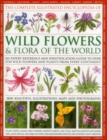 Image for The complete illustrated encyclopedia of wild flowers &amp; flora of the world  : an expert reference and identification guide to over 1730 wild flowers and plants from every continent