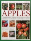 Image for The complete world encyclopedia of apples  : a comprehensive identification guide to over 400 varieties accompanied by 90 scrumptious recipes