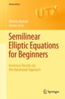 Image for Semilinear elliptic equations for beginners  : existence results via the variational approach