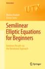 Image for Semilinear elliptic equations for beginners: existence results via the variational approach