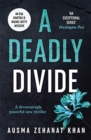 Image for A Deadly Divide