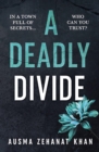 Image for A deadly divide