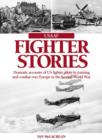 Image for USAAF Fighter Stories