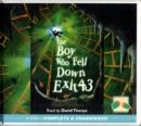 Image for The Boy Who Fell Down Exit 43