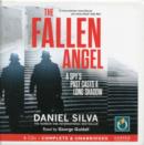 Image for The fallen angel