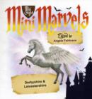 Image for Mini Marvels Derbyshire &amp; Leicestershire