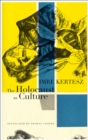 Image for The Holocaust as Culture