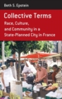 Image for Collective terms  : race, culture, and community in a state-planned city in France