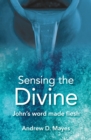Image for Sensing the divine  : John&#39;s word made flesh