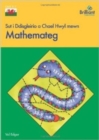 Image for Sut i Ddisgleirio a Chael Hwyl mewn Mathemateg