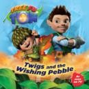 Image for Tree Fu Tom: Twigs and the Wishing Pebble