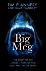 Image for Big Meg