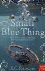 Image for Small Blue Thing