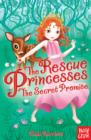 Image for The Rescue Princesses: The Secret Promise