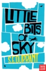 Image for Little bits of sky