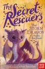 Image for The Secret Rescuers: The Storm Dragon