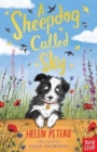 A sheepdog called Sky by Peters, Helen cover image