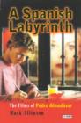 Image for Spanish Labyrinth, A: The Films of Pedro Almodovar