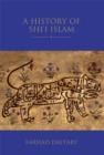 Image for History of Shi&#39;i Islam, A