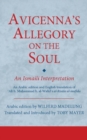 Image for Avicenna&#39;s Allegory on the Soul: An Ismaili Interpretation