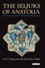 Image for The Seljuks of Anatolia: court and society in the medieval Middle East : 38