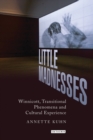 Image for Little Madnesses: Winnicott, Transitional Phenomena and Cultural Experience