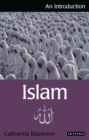 Image for Islam: An Introduction
