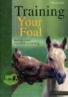 Image for Training Your Foal