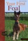Image for Your First Foal