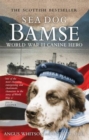 Image for Sea dog Bamse: World War II canine hero