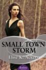 Image for Small Town Storm