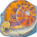 Image for Pocket Snail