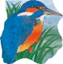 Image for Pocket Kingfisher